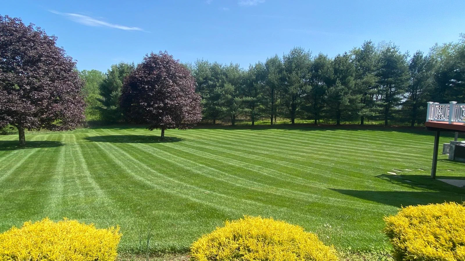 Luxury outdoor living space design in Darnestown, Maryland